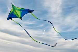 Elliot Drachen Concord Delta 223 x 150 cm blau rtf