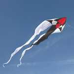 Elliot Drachen Flux Delta 200 x 600 cm Black & Withe rtf