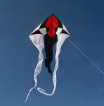 Elliot Drachen Flux Delta 200 x 600 cm Black & Withe rtf