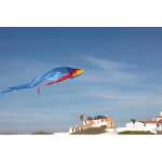 Elliot Drachen Flux Delta 200 x 600 cm rainbow rtf