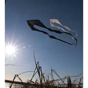 Elliot Pyro Delta White