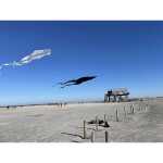 Elliot Pyro Delta White