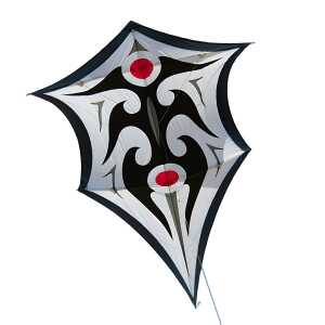 Elliot Carsten Domanns Sky Shield