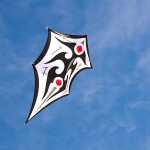 Elliot Carsten Domanns Sky Shield