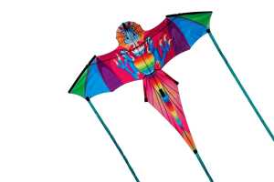 Elliot Drachen Drache Wilma 140 x 118 cm rtf