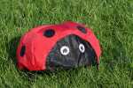 Elliot Drachen Spiderkites Ladybug Windsack