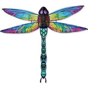 Elliot 3-D Dragonfly Rainbow