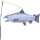 Elliot Windspiel Windsack Lachs 77 cm x 30 cm
