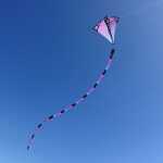 Elliot Drachen Prism Schlauchschwanz 75 Ultraviolett