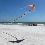 Elliot Drachen Prism Schlauchschwanz 75 Infrared