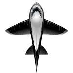 Elliot Drachen X-Kites RareAir Shark