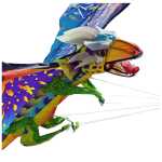 Elliot WindNSun - 3D Drache - Fire