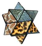 Elliot StarCube - Stern-Zauberwürfel Wildlife