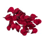 OOTB Rote Rosenblütenblätter ca. 100 Stück