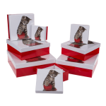 OOTB Rot/weiße Geschenkkartonage Katze
