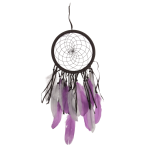 OOTB Braun/lilafarbener Traumfänger mit Federn