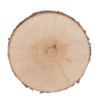 OOTB Deko-Holzscheibe D: ca. 15 cm