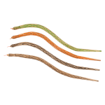 OOTB Holz-Spiel-Schlange ca. 50 cm