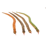 OOTB Holz-Spiel-Schlange ca. 50 cm