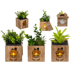 OOTB Deko-Sukkulente