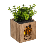 OOTB Deko-Sukkulente