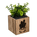 OOTB Deko-Sukkulente