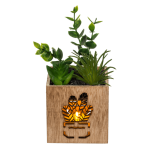 OOTB Deko-Sukkulente