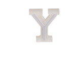 OOTB Neon-LeuchtbuchstabeY Höhe:16 cm