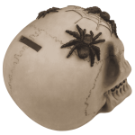 OOTB Spardose mit Schloss Totenkopf mit Spinnen