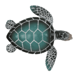 OOTB Polyresin-Dekofigur Schildkröte 8 x 25 cm