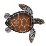 OOTB Polyresin-Dekofigur Schildkröte 8 x 25 cm