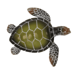 OOTB Polyresin-Dekofigur Schildkröte 8 x 25 cm