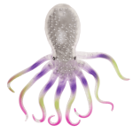 OOTB Sensorischer KAKA Quetsch- & Wandball