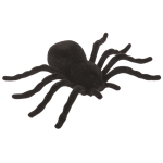 OOTB Spinnen 105 x 7 cm