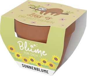 Blumentopf mit Blume Motiv Faultier