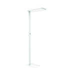 LED-Standleuchte MAULjura, Diffusor für geringen...