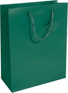 Geschenktaschen, Large, opalgrün, 260 x 330 x 120 mm