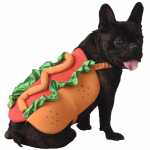 Hundekostüm Hot Dog orange/rot/grün 35cm