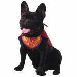 Hundekostüm Superheld rot/blau/gelb 38cm