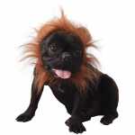 Hundekostüm Löwenmähne braun 11cm