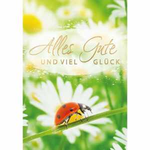 Kurt Eulzer Grußkarte Midi Alles Gute und viel Glück Marienkäfer