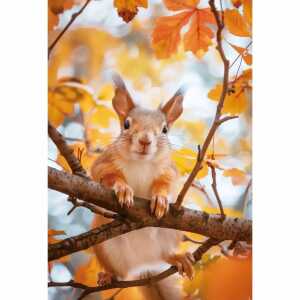 Kurt Eulzer Motivkarte Eichhörnchen im Baum