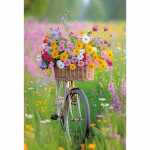 Kurt Eulzer Motivkarte Fahrrad mit Blumenkorb