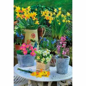 Kurt Eulzer Motivkarte Blumen in Töpfen auf einem Tisch