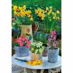 Kurt Eulzer Motivkarte Blumen in Töpfen auf einem Tisch