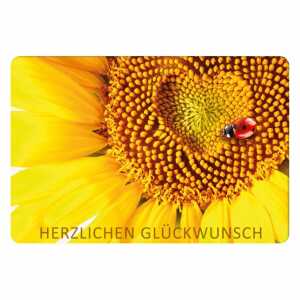 Glückwunschkarte Herzlichen Glückwunsch Sonnenblume und Marienkäfer