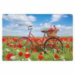 Kurt Eulzer Motivkarte Fahrrad mit Mohnblumen