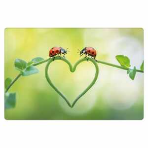 Kurt Eulzer Motivkarte Marienkäfer mit Herz