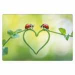 Kurt Eulzer Motivkarte Marienkäfer mit Herz