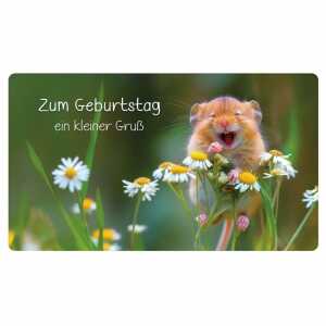 Glückwunschkarte Zum Geburtstag ein kleiner Gruß Hamster und Kamille